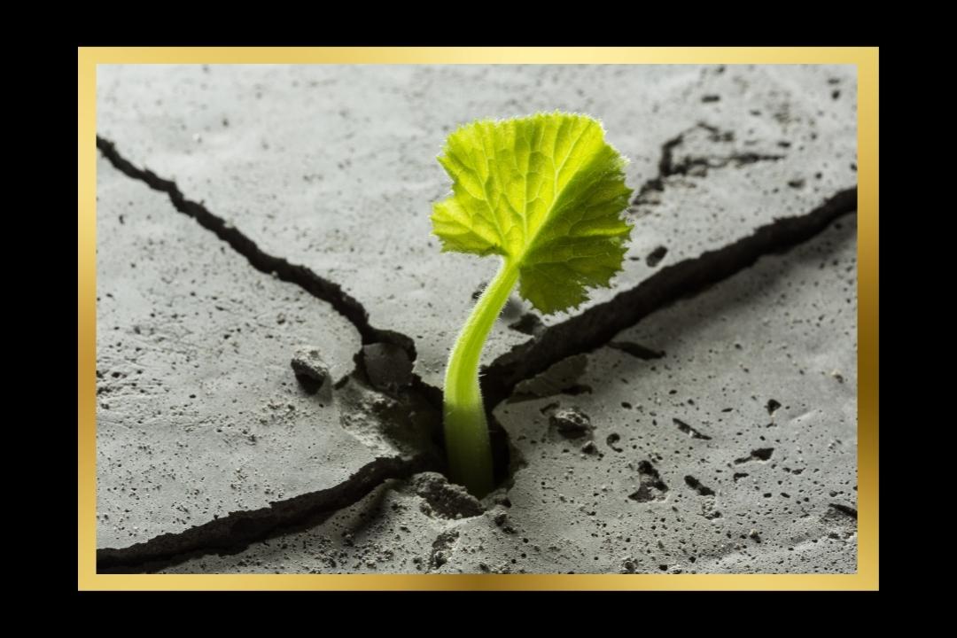Looking After Your Well-being and Resilience