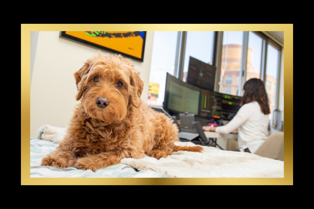 UPDATE: Working From Home Deductions