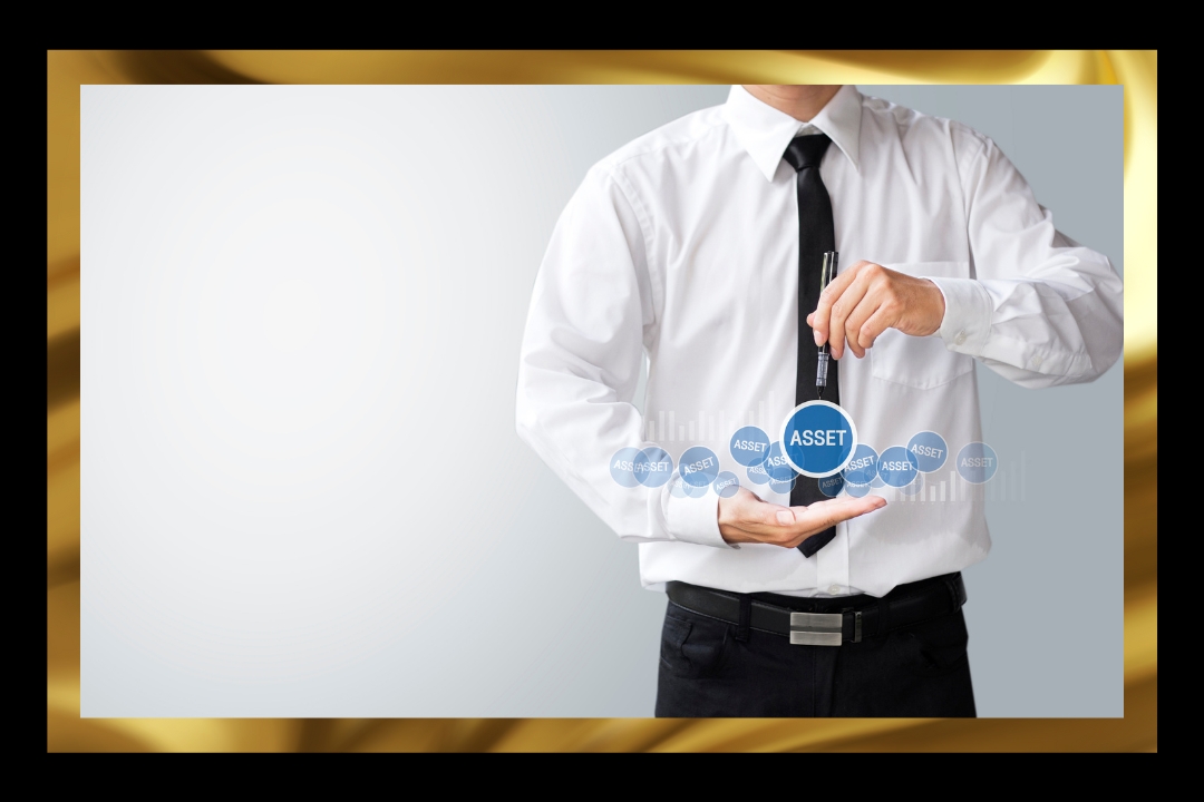 Lifestyle Assets: Understanding Data-Matching Program