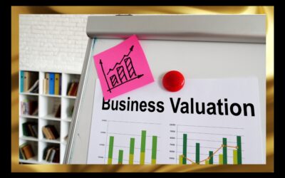 Business Success: What Drives Business Value